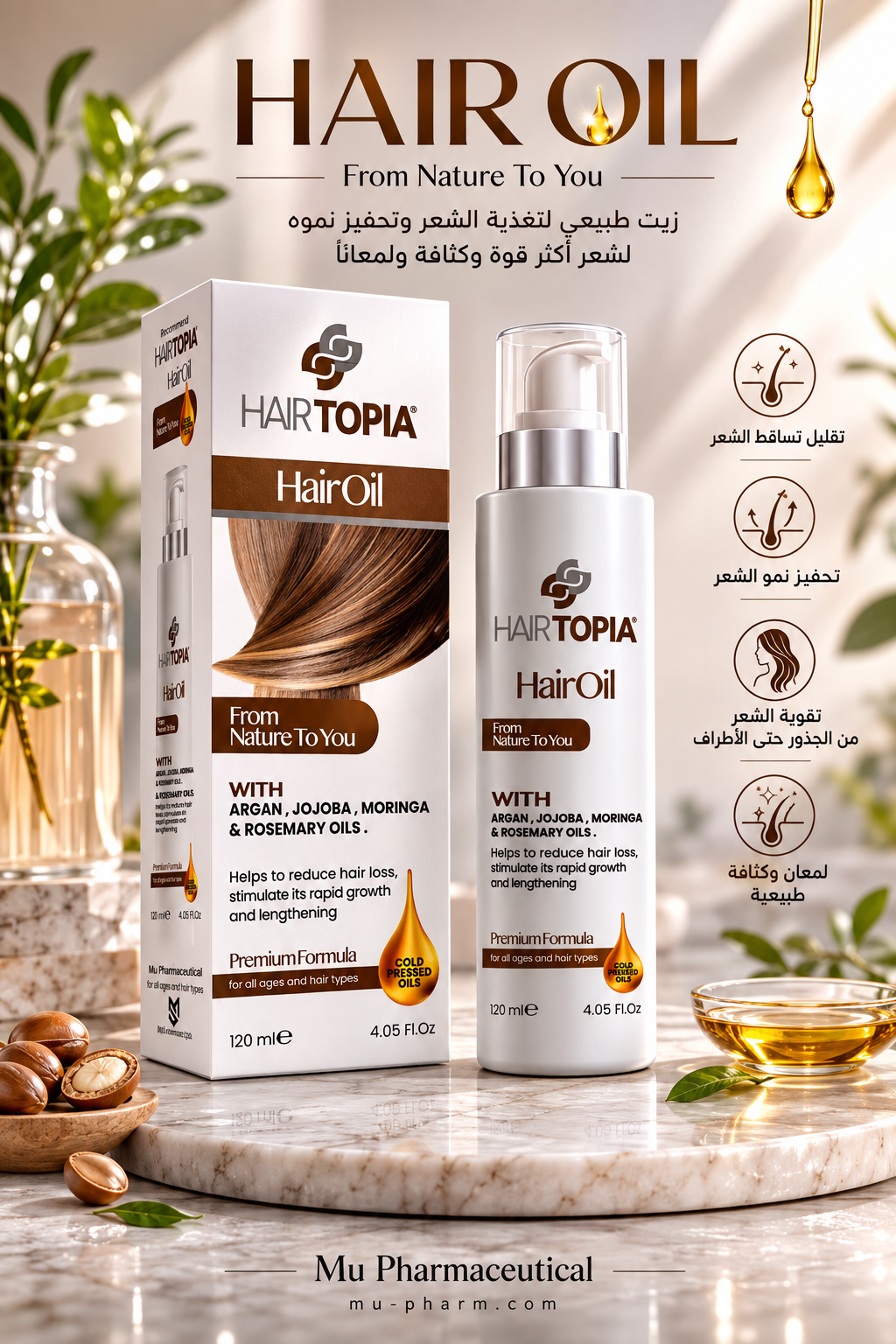 الرئيسية